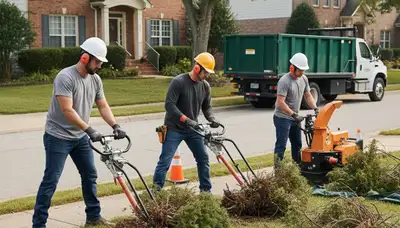 Kissimmee, FL tree service crew removing overgrown shrubs safely and efficiently