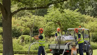 Professional tree fertilizing service in Kissimmee, FL for healthier, stronger trees
