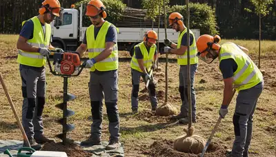 Tree planting service in Kissimmee, FL for healthy landscape installation and site-ready trees