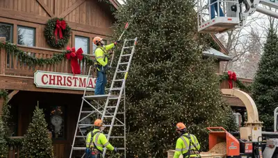Tree service crew in Kissimmee, FL providing professional tree removal and trimming assistance