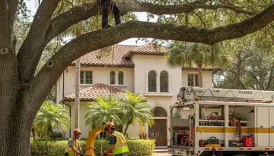 Tree removal crew serving Kissimmee, FL with professional tree service equipment